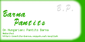 barna pantits business card